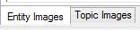 Entity and Topic Image tabs