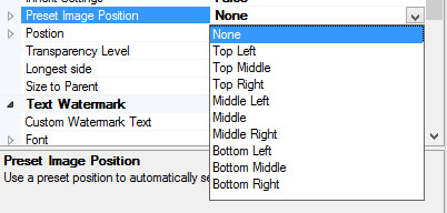 Watermark position options dropdown
