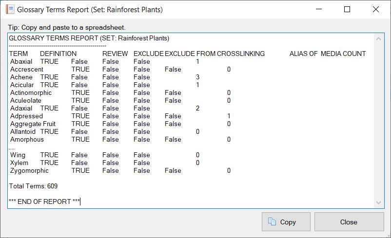 Glossary Terms report example