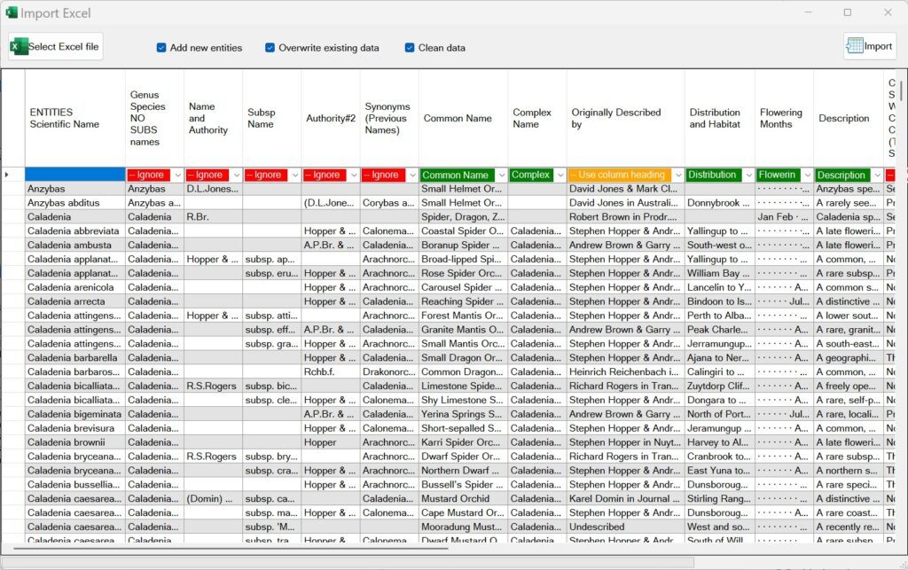 Excel import example with an Excel spreadsheet loaded