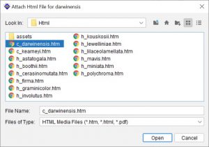 Lucid Builder Attach HTML file browser dialog