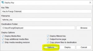 Lucid Builder Key Deploy dialog Options button