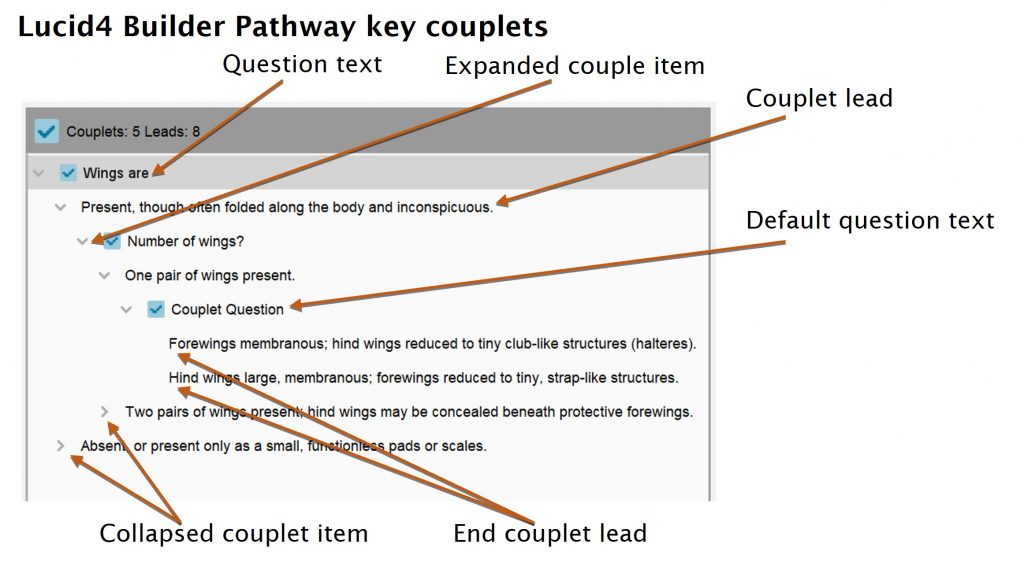 Lucid Builder pathway couplet tree diagram