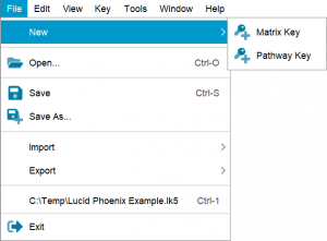 Lucid Builder File Menu