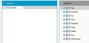 Lucid Builder pathway subset entry example