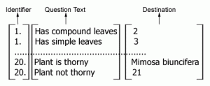 Breakdown of a bracketed key example