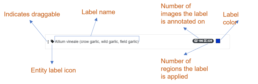 Lucid AI Anatomy of an entity label item