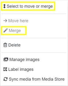 Lucid AI image category right click context popup menu - Merge option