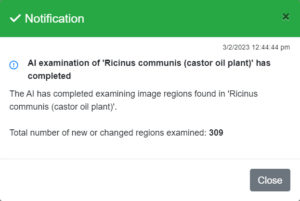 Lucid AI notification example of completed AI examination of a label